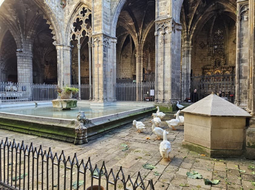 Claustro de la Catedral de Barcelona con sus ocas